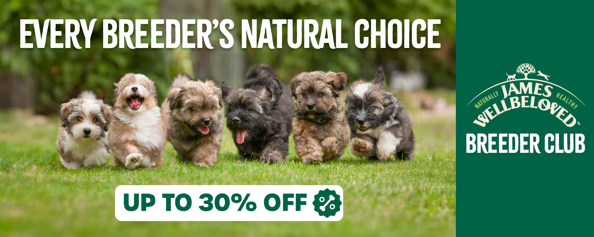 dog-food-jwb-breeders-uk