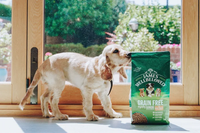 a dog and grain free puppy food