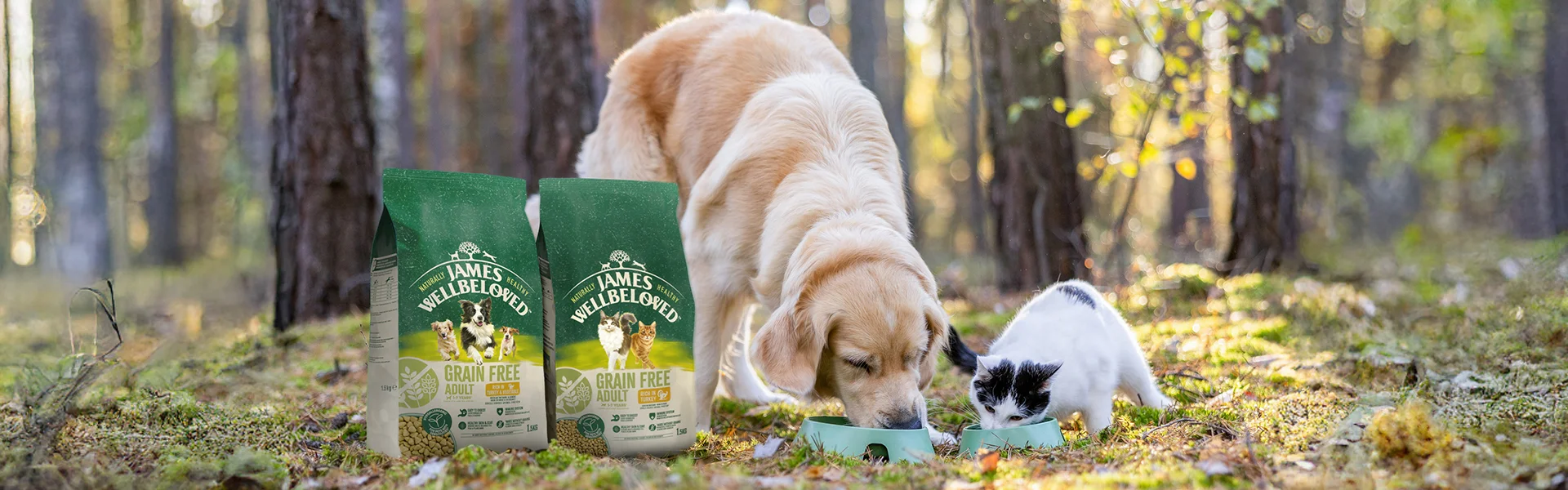 dog and cat eating james wellbeloved food in grass